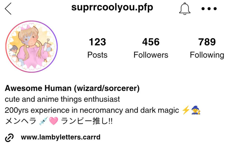 pfp example no.2 faux instagram profile displaying PFP example